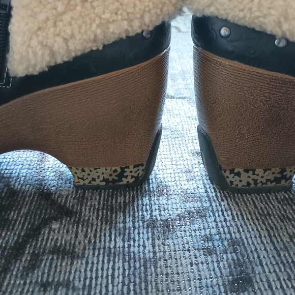 Jambu Holland - Picture 3 of 8